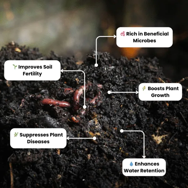 Enriched Cow Dung Manure with Vermicompost – Premium Organic Fertilizer