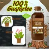 Cynobacteria Fish Amino Acid Fertilizer (Cyno Meen Amilam)