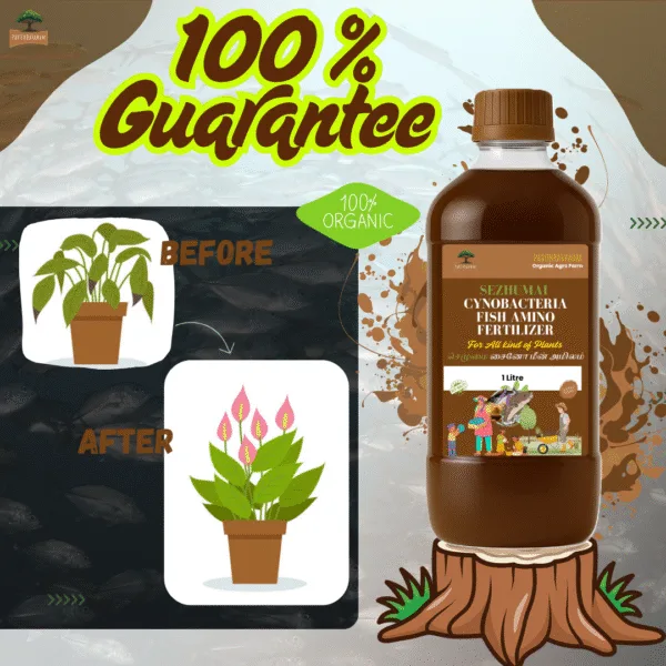 Cynobacteria Fish Amino Acid Fertilizer (Cyno Meen Amilam)