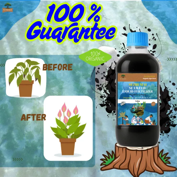 Seaweed Liquid Fertilizer
