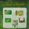 10 Poochi Viratti – Patthu Ilai Kasayam (Natural Pest Defender)