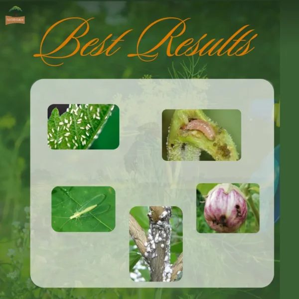 10 Poochi Viratti – Patthu Ilai Kasayam (Natural Pest Defender)