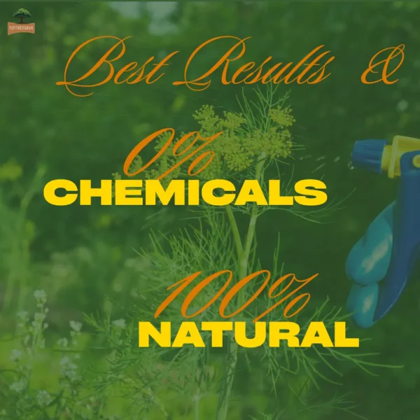 11 Poochi Viratti – Patthu Ilai Kasayam (Natural Pest Defender)
