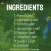 9 Poochi Viratti – Patthu Ilai Kasayam (Natural Pest Defender)