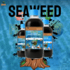 Seaweed Liquid Fertilizer