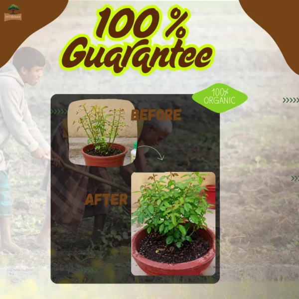Panchagavya Liquid Fertilizer | Natural Plant Growth Promoter | 100% Organic